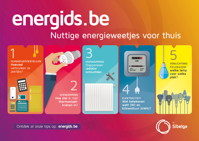 E-book Energids